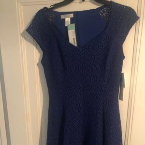 London Times navy blue lace skater dress